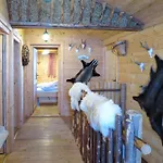Simonhuette By Interhome Chalet